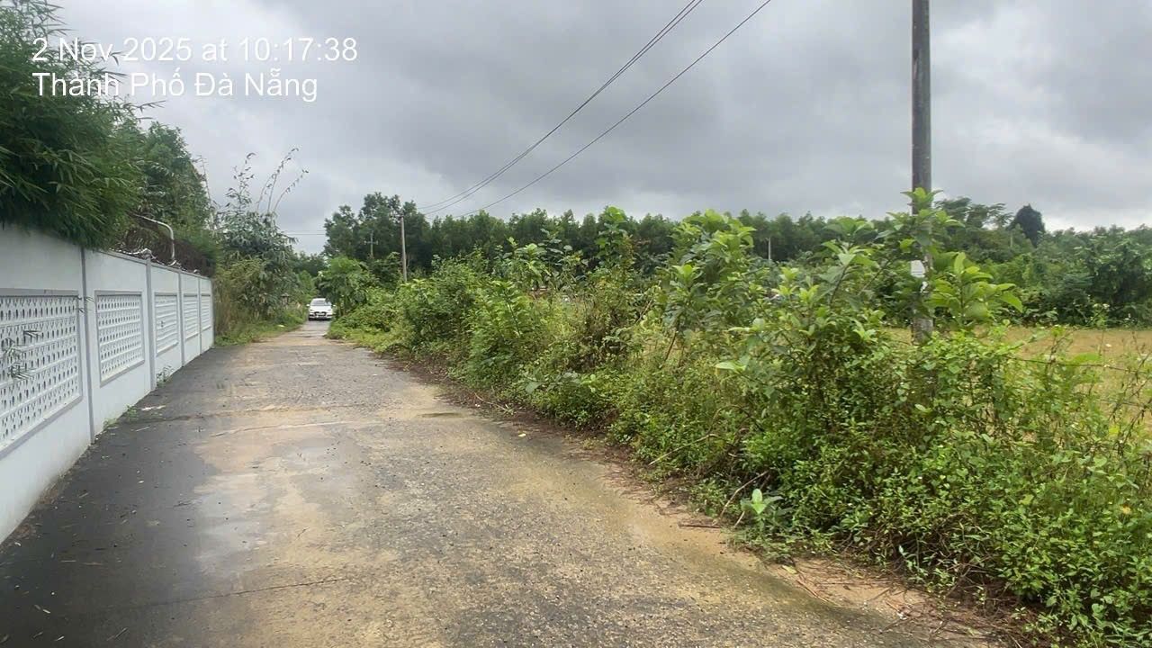 Đất nền Hòa Phong Đà Nẵng 50m² giá chỉ 185 triệu - Sổ hồng chính chủ
