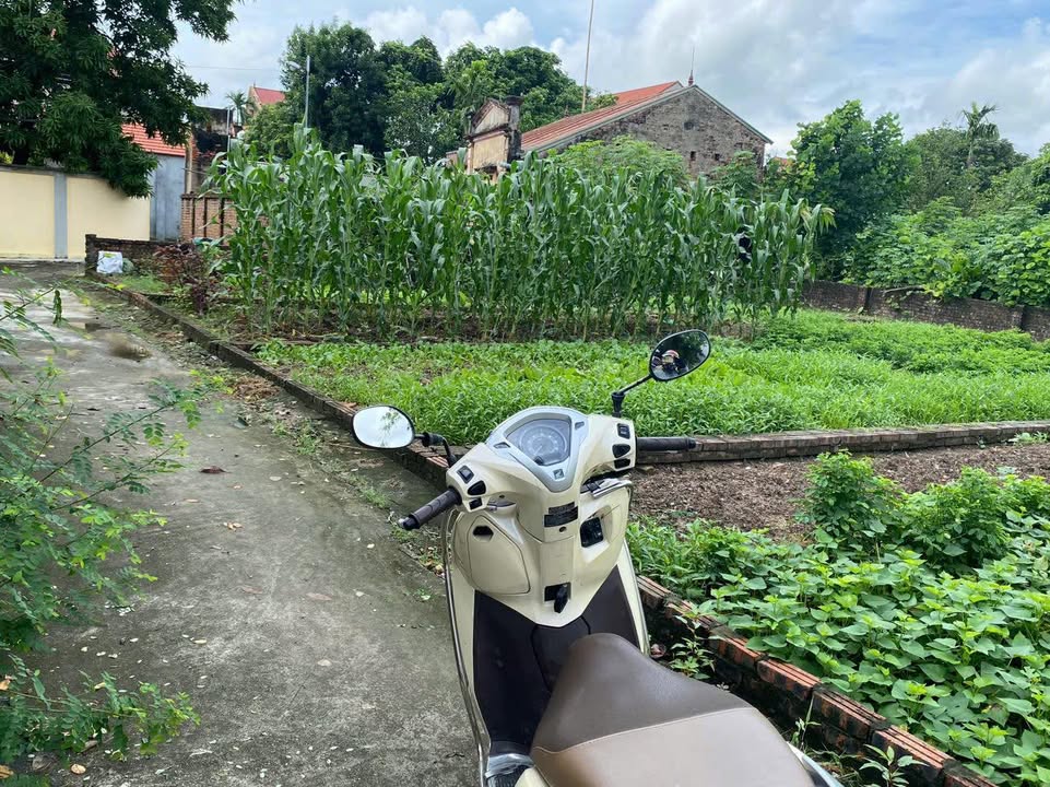 Đất nền Vĩnh Hưng 65m² giá 800 triệu - Đầu tư sinh lời hấp dẫn!