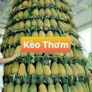 Đất lúa mặt tiền Ấp Giong Ngan, Long An 4060m² giá 8.12 tỷ - Cơ hội đầu tư tuyệt vời!