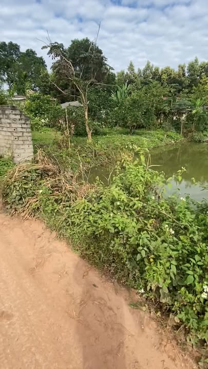 Đất nền Tân Hòa - Phú Bình 166m² chỉ 700 triệu - Cơ hội đầu tư tuyệt vời!