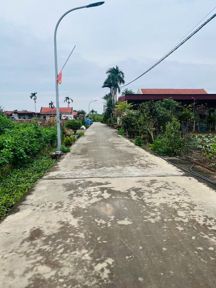 Lô đất 470m² giá 2.53 tỷ - Đầu tư tiềm năng tại Nghĩa Hưng!