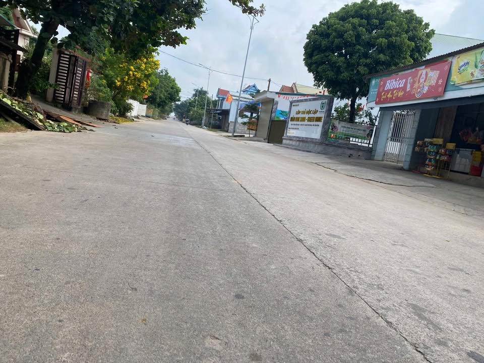 Đất kinh doanh trục chính TL310 Đạo Tú 96m² - Giá đầu tư hấp dẫn!