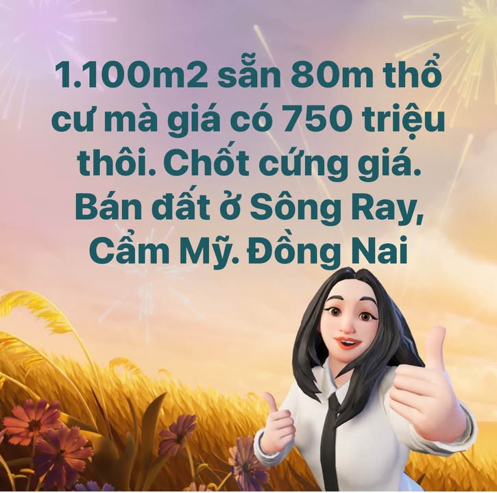Đất thổ cư 1100m² giá 750 triệu tại Sông Ray, Cẩm Mỹ - Cơ hội đầu tư sinh lời!