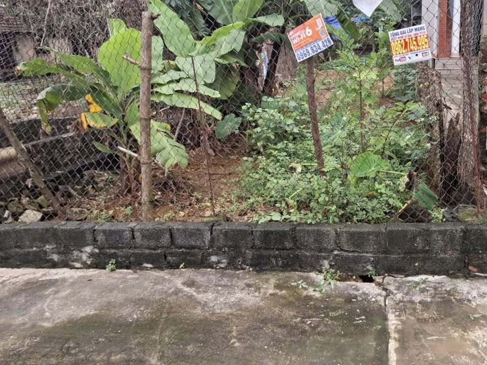 Đất thổ cư Thôn Đông Hạ, Xã Đông Yên 80.1m² giá 3 tỷ - Đầu tư sinh lời ngay!