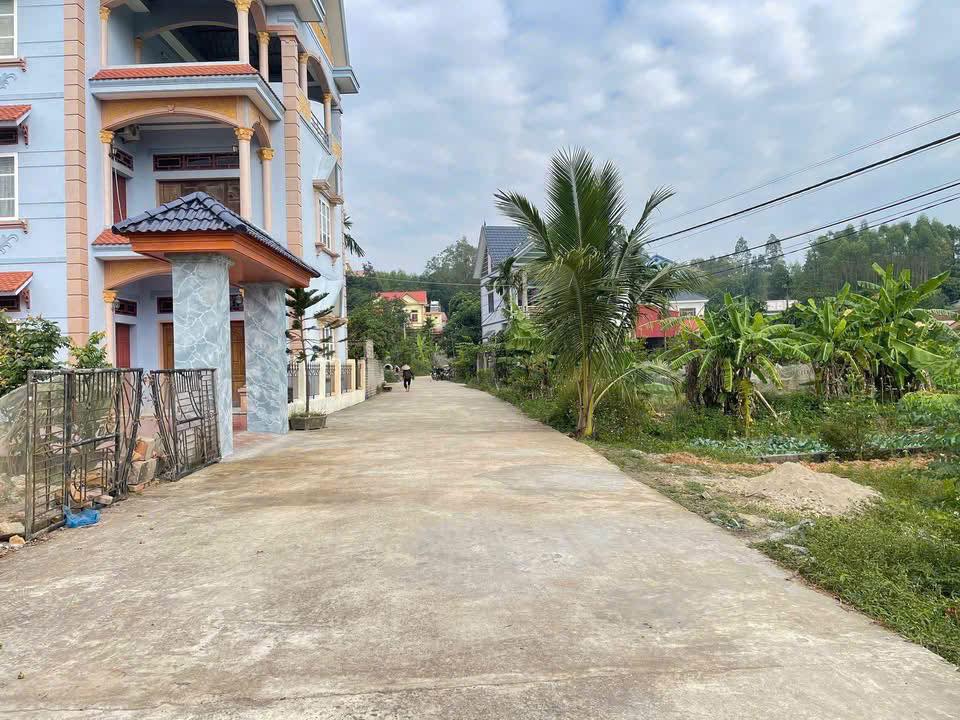 Đất thổ cư TDP Thượng Tùng, phường Tân An, Bắc Ninh 248m² - Đường ô tô tránh nhau!