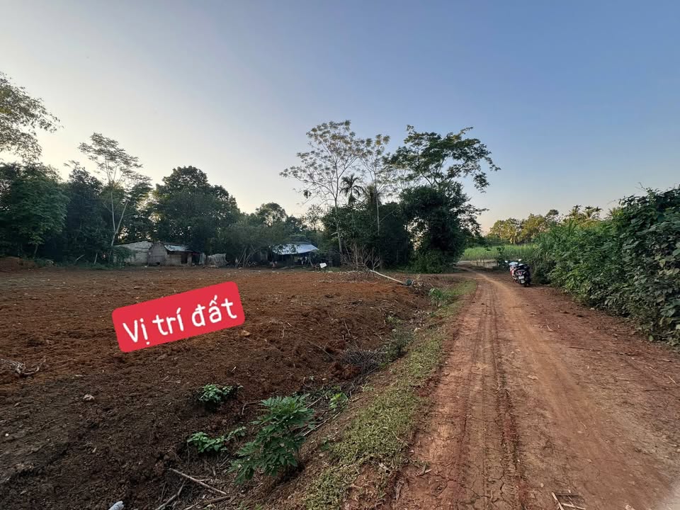 Bán gấp 6 lô đất Thạch Sơn, Thạch Thành, Thanh Hóa - Giá chỉ 99 triệu/lô!