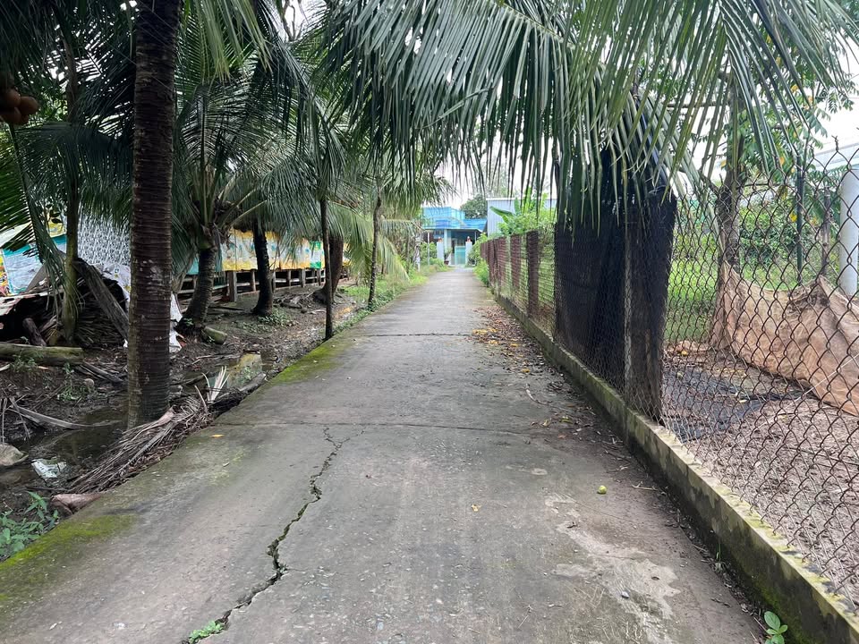 Đất nền Phước Trung 273m² giá chỉ 550 triệu - Sổ đỏ chính chủ