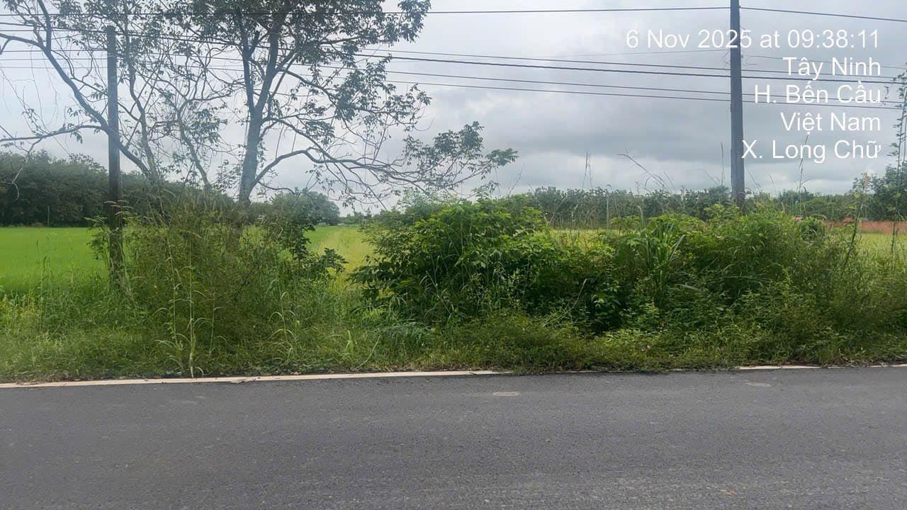 Đất thổ cư 120m² và cao su 1 mẫu 1 tại Long Chữ, Bến Cầu - Giá chỉ 2.7 tỷ!