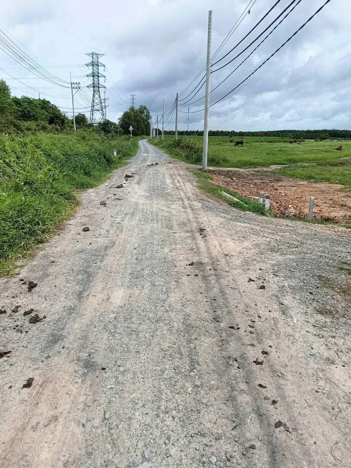 Đất thổ cư 2226m² tại Trảng Bàng giá 4.3 tỷ - Tiềm năng đầu tư hấp dẫn!