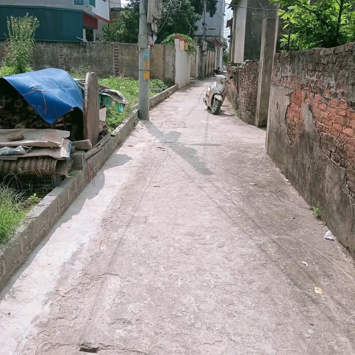 Đất nền 2 mặt tiền Quất Động Thường Tín 97m² giá 4.7 tỷ - Đầu tư sinh lời ngay!