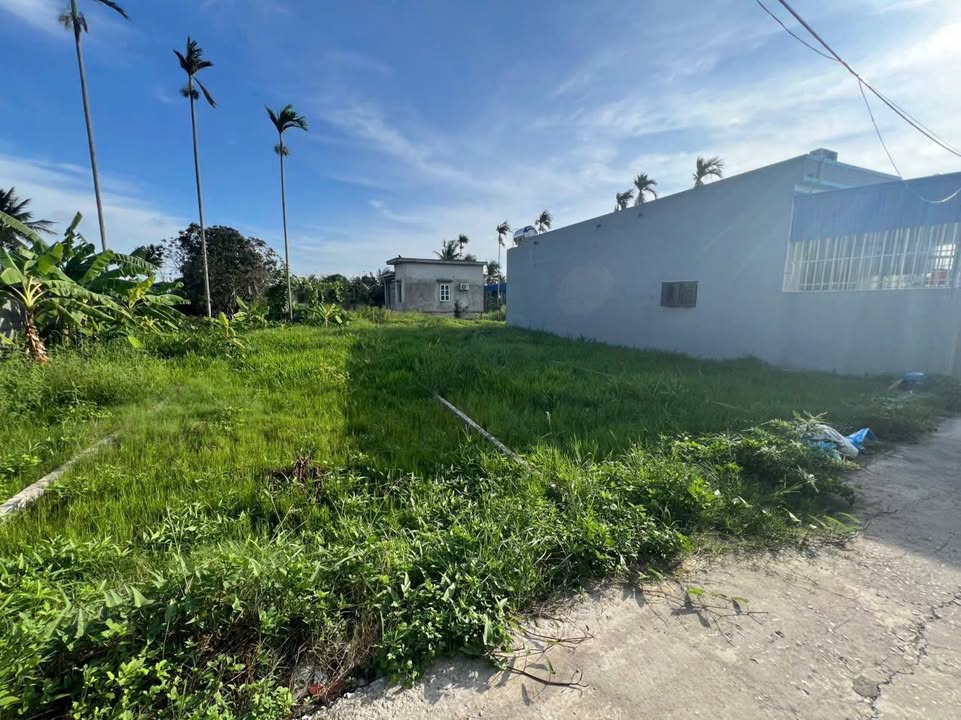 Đất nền Trực Trang, An Trường, Hải Phòng 80.8m² giá 800 triệu - Cơ hội đầu tư không thể bỏ qua!