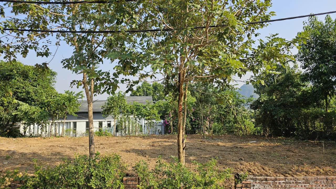 Đất nền Cư Yên Lương Sơn 520m² - Lô góc 2 mặt tiền vị trí đắc địa!