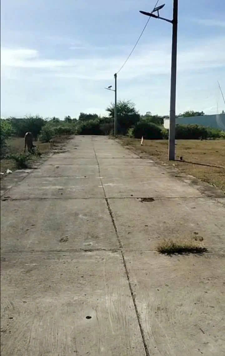 Đất thổ cư Hòa Lợi, Trà Vinh 108m² giá 500 triệu - Vị trí đắc địa gần trường đại học!