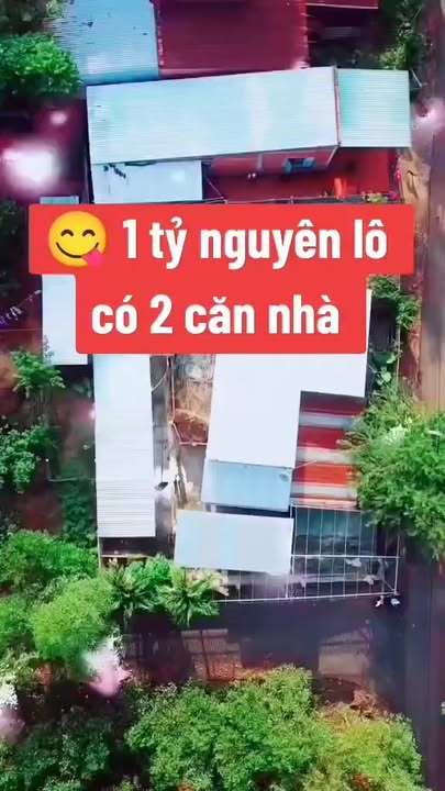 Đất góc 2 mặt tiền Tân Lâm, Xuyên Mộc 469m² giá 1 tỷ - Đầu tư sinh lời ngay!