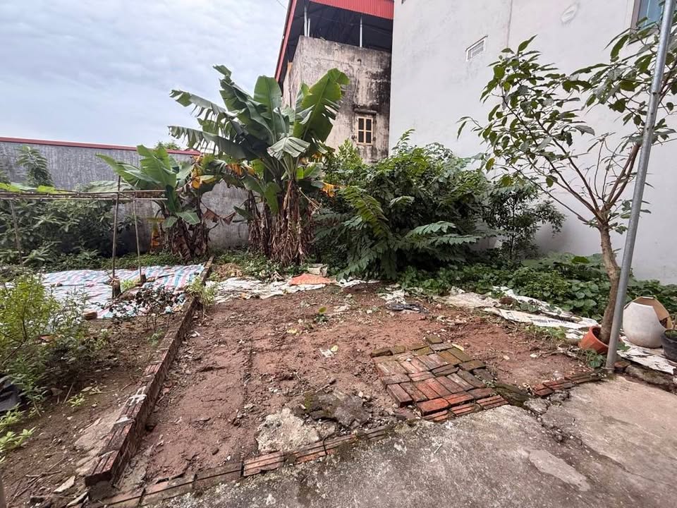 Đất Phúc Lợi Long Biên 45m² giá 5 tỷ - Sổ đỏ chính chủ, ô tô vào tận nhà!