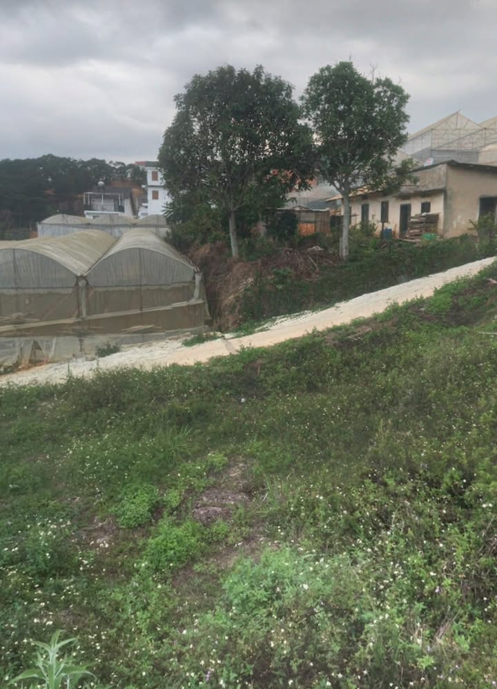 Đất nền Đà Lạt 72m² giá 2.6 tỷ - Sổ đỏ chính chủ, xây dựng tự do!