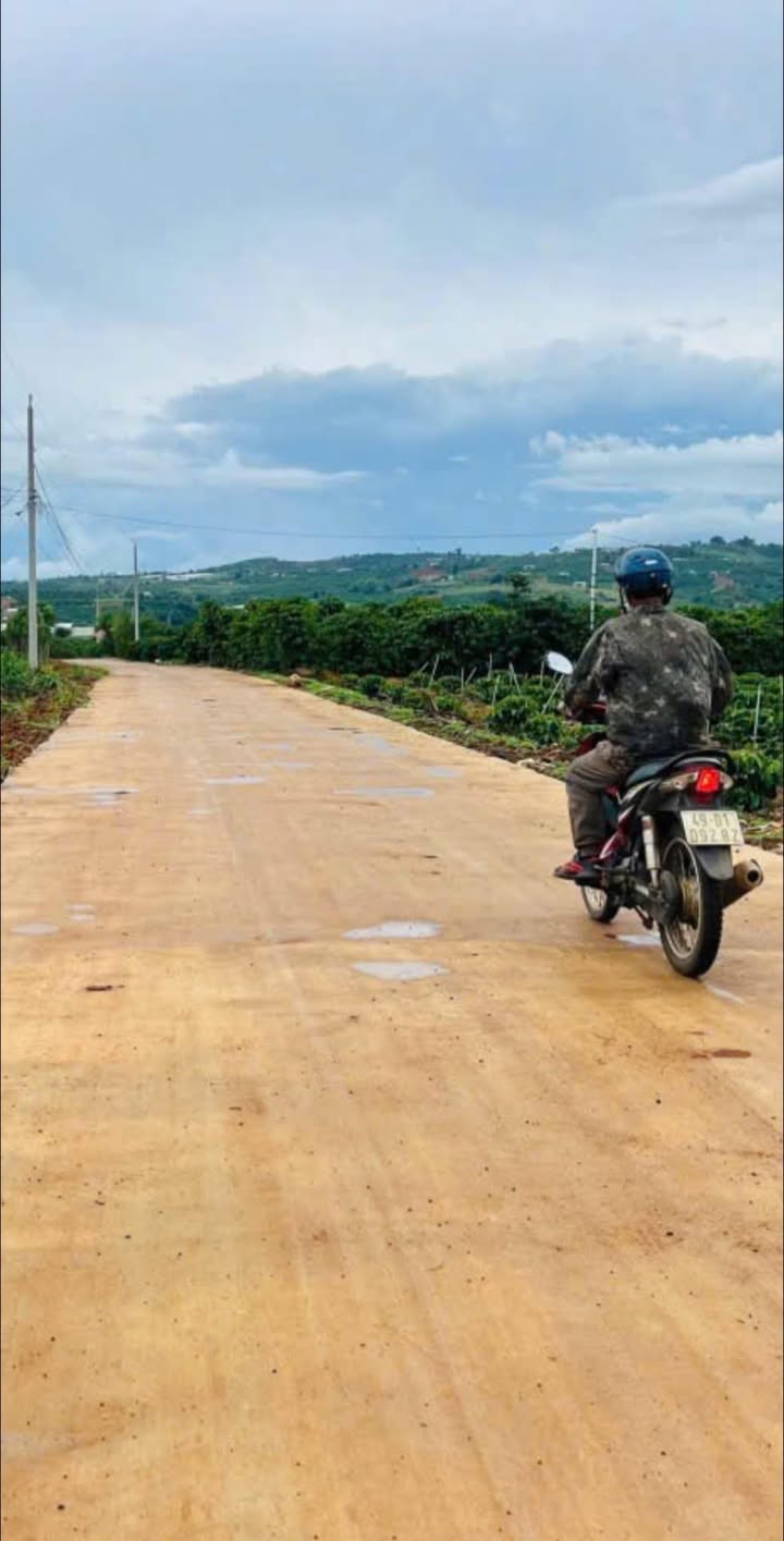 Đất Tân Thành, Đức Trọng, Lâm Đồng 594m² giá 475 triệu - Tiềm năng phát triển lớn!