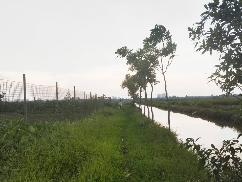 Đất nền homestay Đại Thanh - Thanh Trì 1.100m² giá 1.6 tỷ - Đầu tư sinh lời ngay!