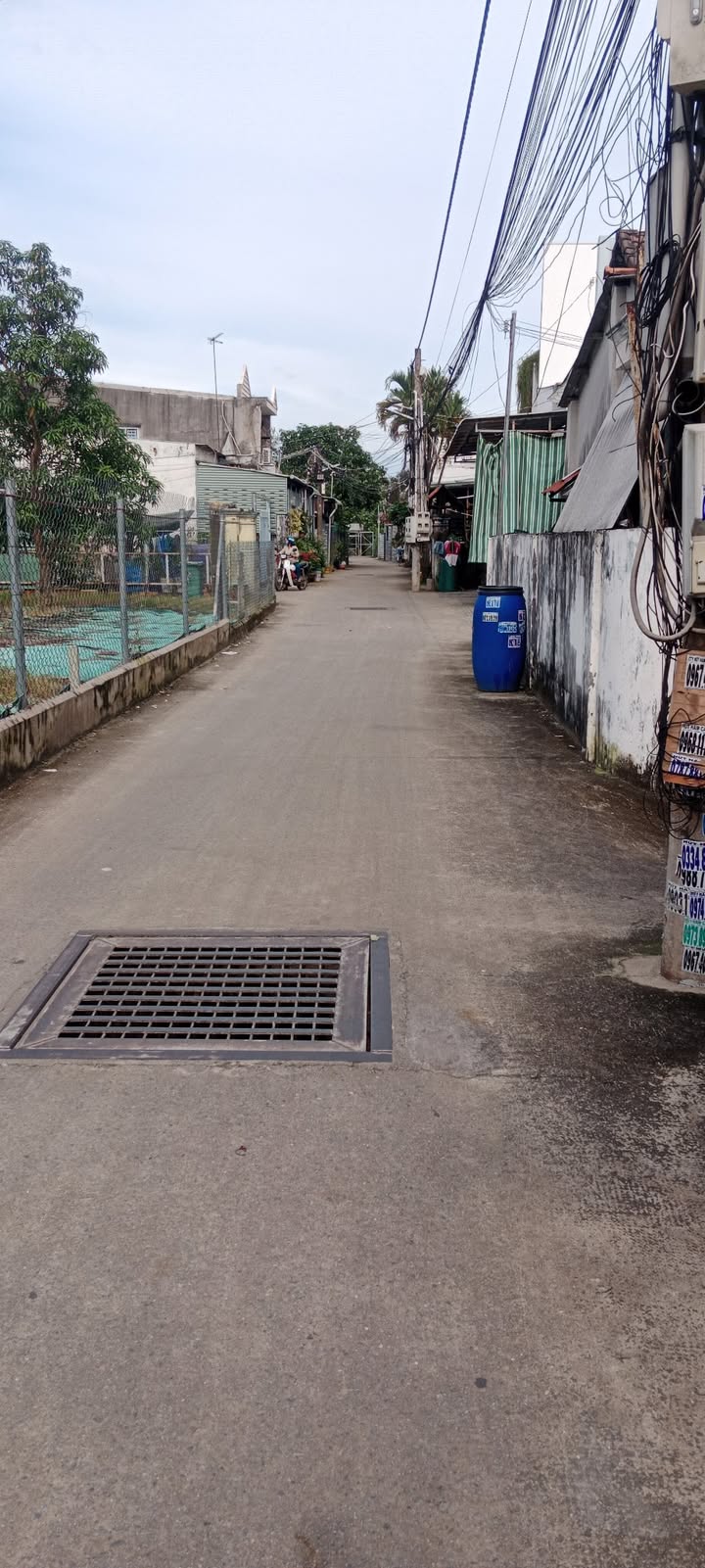 Đất mặt tiền Bình Nhâm 31, 1126m² - Xây biệt thự vườn mơ ước!