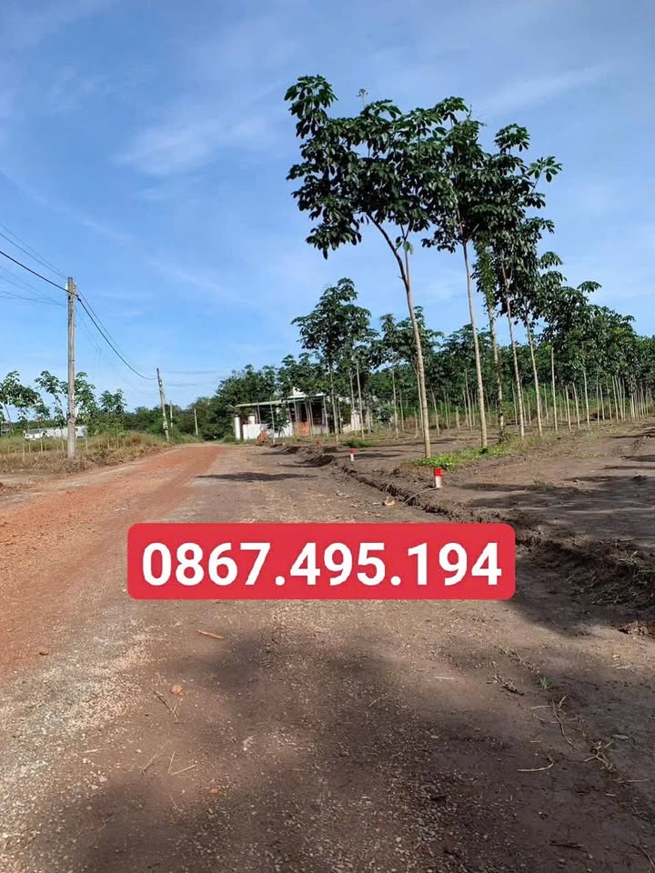 Đất nền Tân Phú Đồng Phú 722m² giá 250 triệu - Đầu tư sinh lời ngay!