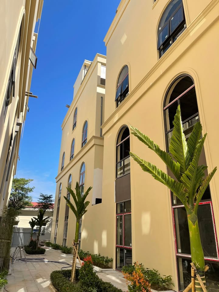 Shophouse Hồng Bàng Midtown 30m² giá 6 triệu - Cơ hội kinh doanh đắc địa!