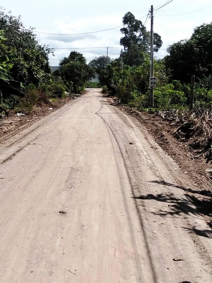 Đất nền Long Hoa, Hòa Thành, Tây Ninh 500m² giá 118 triệu - Sổ hồng chính chủ, thương lượng tốt!