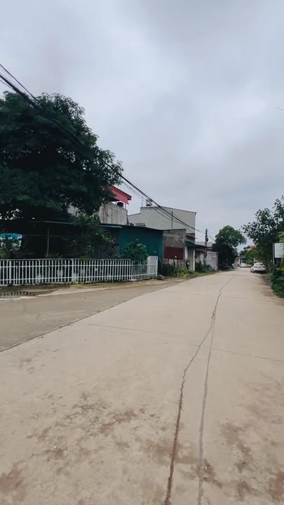 Đất nền kinh doanh tại Thanh Vân, Tam Dương 110m² giá chỉ 1.5 tỷ - Đầu tư sinh lời ngay!