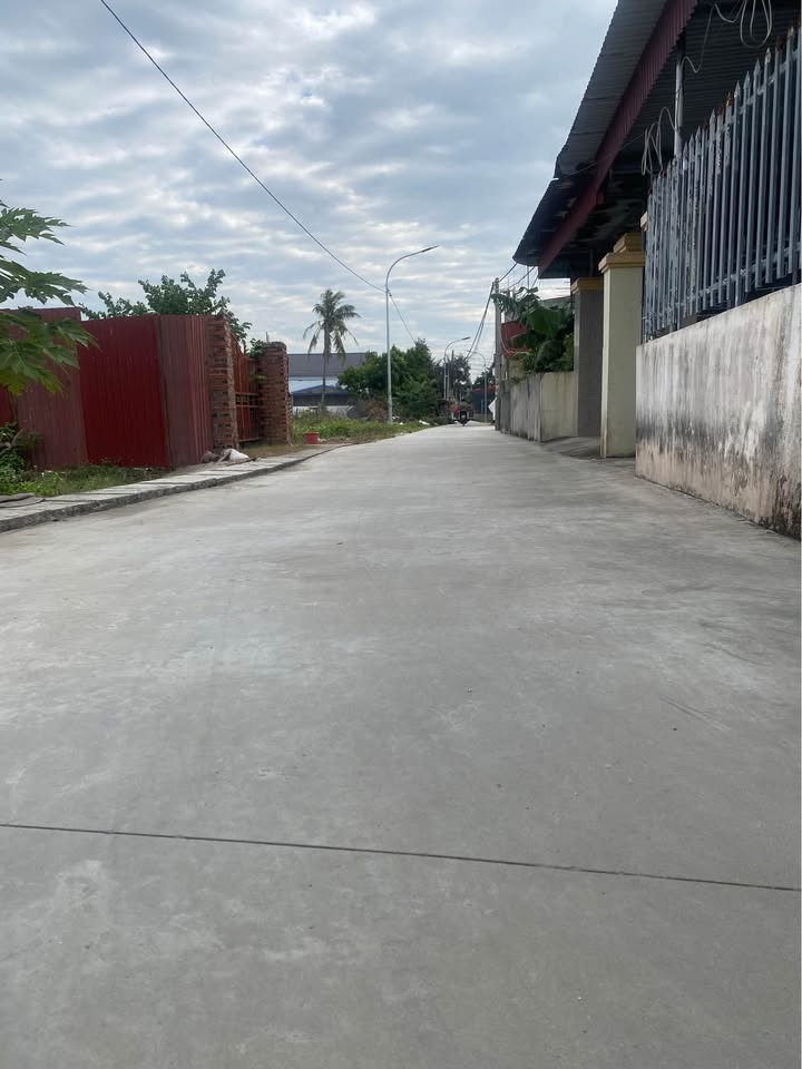 Đất ở Thái Sơn, An Lão, Hải Phòng 60m² - Đường thông rộng, gần trường mầm non!