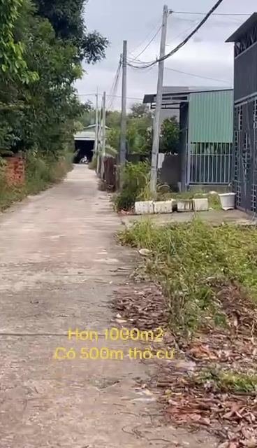 Đất nền lô góc 1197m² tại phường Minh Thành - Cơ hội đầu tư hiếm có!