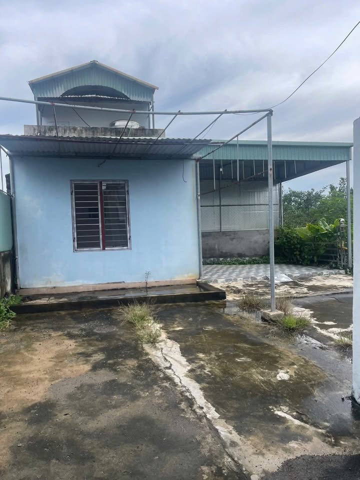 Bán đất thổ cư 160m² tại phường Vị Khê, Nam Định - Giá chỉ 600 triệu!