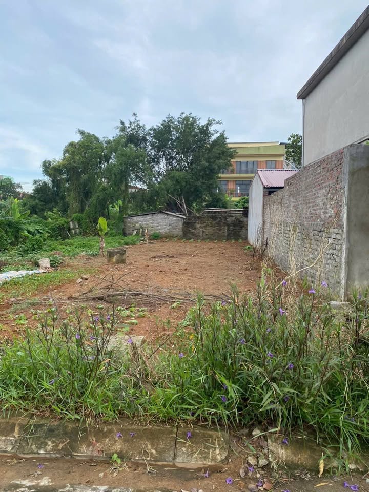 Đất nền Ninh Tiến, Hoa Lư, Ninh Bình 119.7m² giá 6 tỷ - Cơ hội đầu tư tuyệt vời!