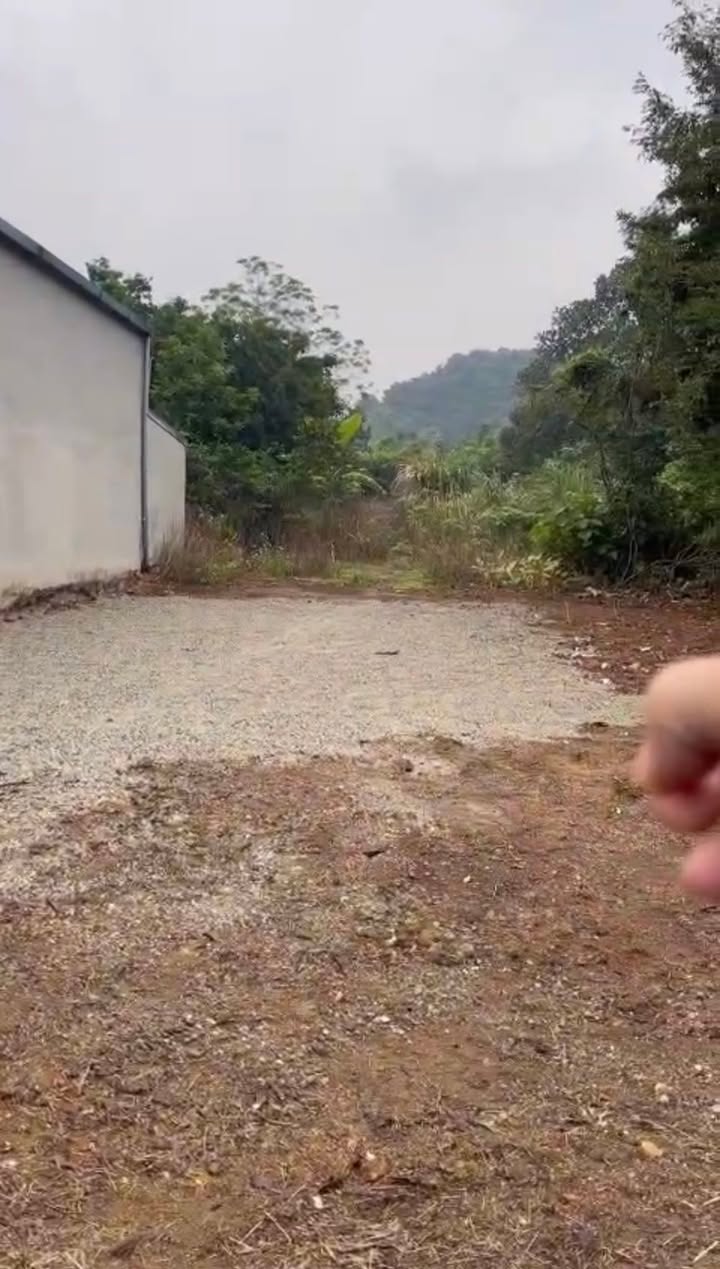 Đất nền tại Đông Sơn, Tam Điệp 600m² giá thỏa thuận - Đường lớn thông tứ phía!