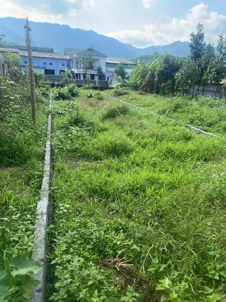 Nhà mặt tiền quốc lộ 70B xã Xuân Thủy 130m² giá 1 tỷ - Kinh doanh tuyệt vời!