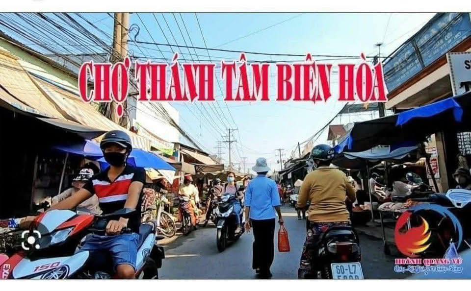 Bán nhà Phường Tân Hoà, Biên Hòa 306m² giá 7.55 tỷ - Phù hợp làm biệt thự, kinh doanh!