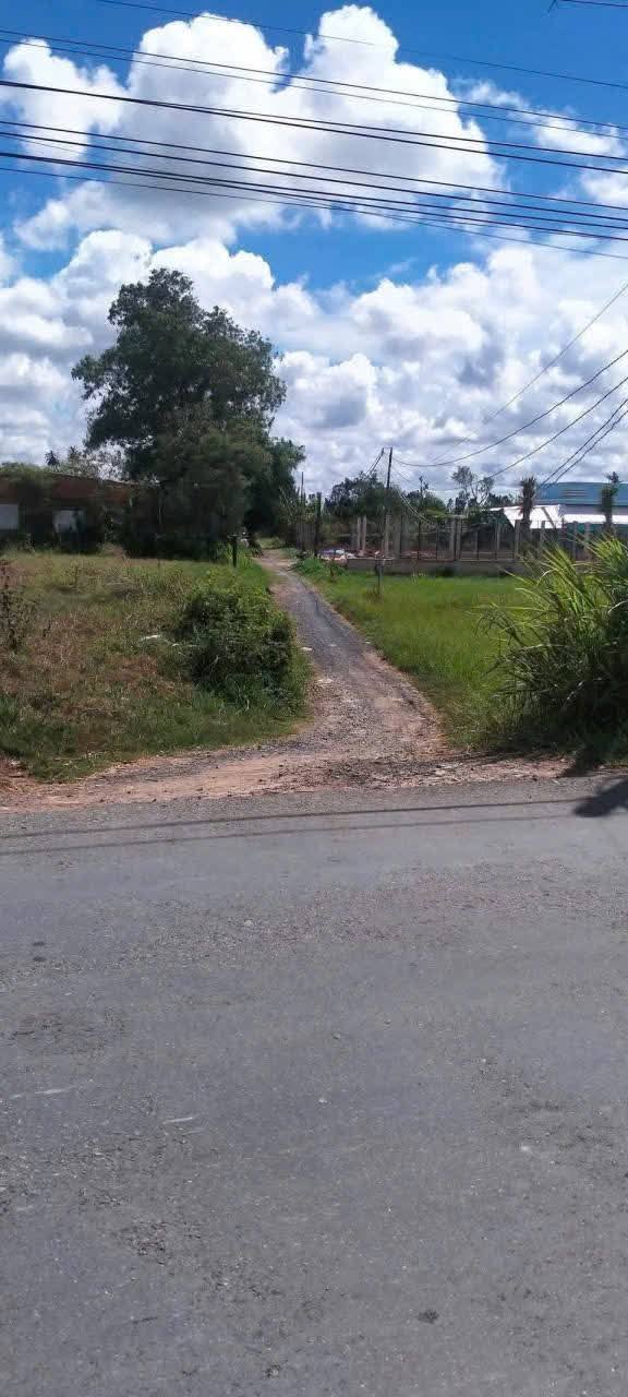 Đất ruộng Vĩnh An, Ba Tri, Bến Tre 1324m² giá 850 triệu - Cơ hội đầu tư hấp dẫn!