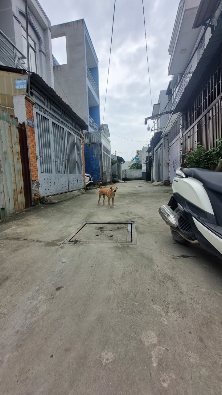 Đất thổ cư Thạnh Xuân 25, Quận 12 - Tặng dãy trọ 5 phòng cho thuê chỉ 4.2 tỷ