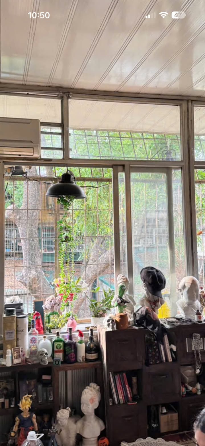 Căn hộ Tập thể Kim Liên, Đống Đa 16m² giá 3.05 tỷ - Thiết kế thông minh, tiện ích đầy đủ!