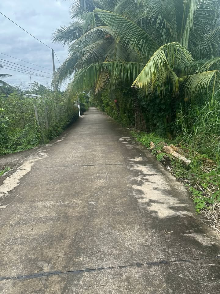 Đất nền 175m² xã Bình Phú, huyện Cai Lậy - Giá chỉ 480 triệu - Đầu tư sinh lời ngay!