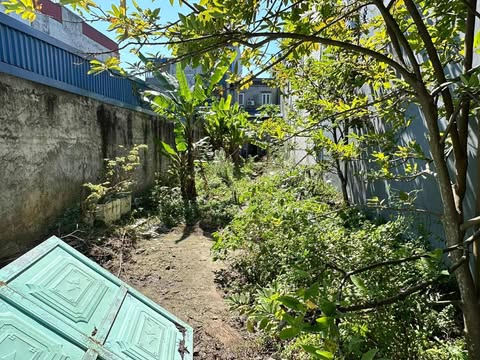 Lô đất Đặng Văn Ngữ 147,3m² giá 4,6 tỷ - Cơ hội đầu tư sinh lời!