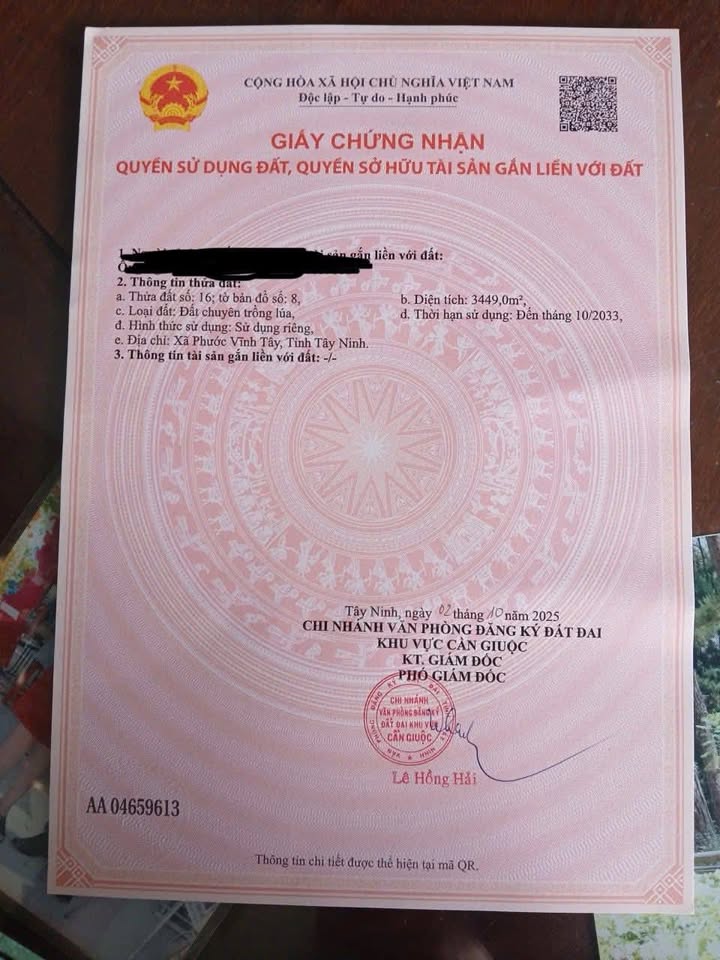 Đất nền 3500m² Long Phụng, Cần Giuộc chỉ 699 triệu - Đầu tư sinh lời ngay!