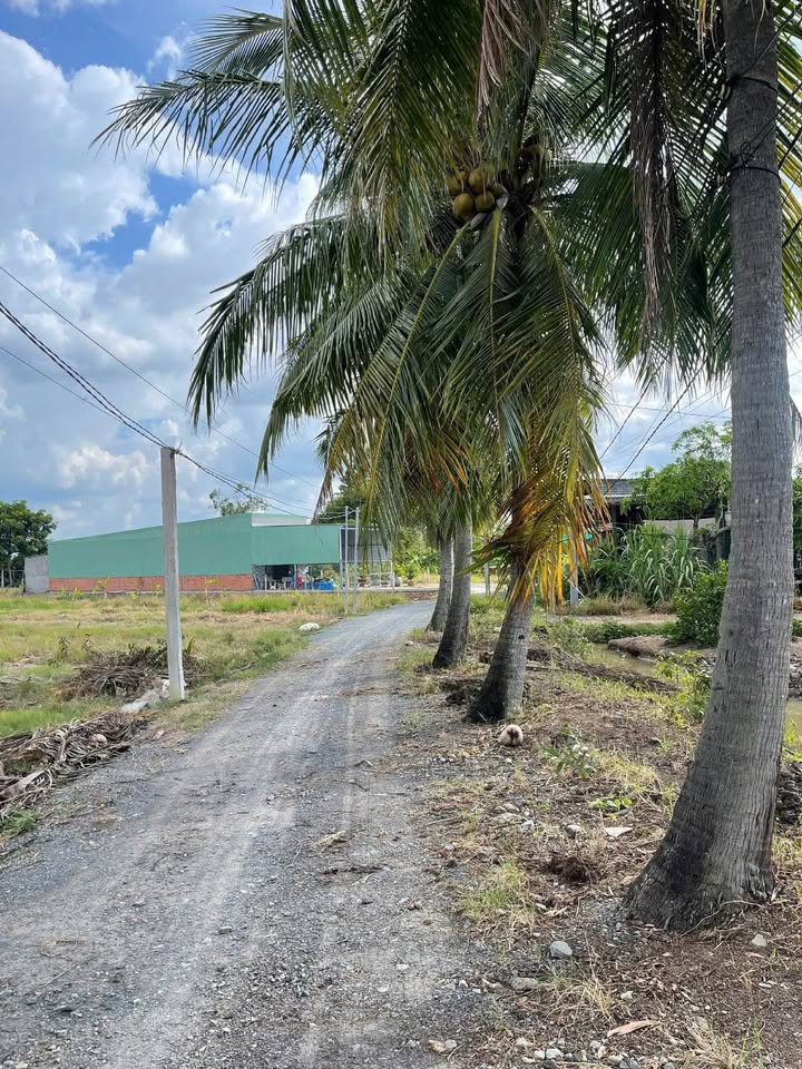 Đất thổ cư 2000m² tại Bình Đức, Thủ Thừa - Giá chỉ 5 tỷ, sổ hồng riêng!