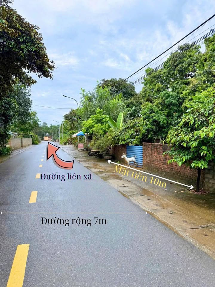 Đất nền Cổ Đông Sơn Tây 412.8m² mặt tiền 10m - Vị trí đắc địa gần Quốc lộ 21!