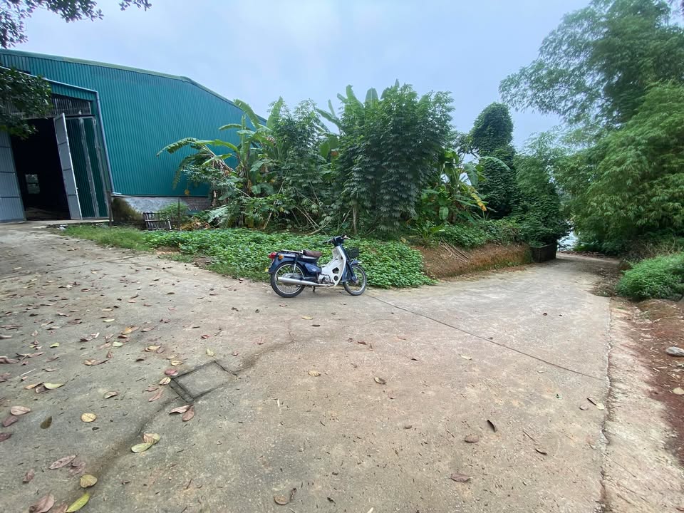 Đất thổ cư Cần Kiệm, Thạch Thất 270m² giá 5.4 tỷ - Lô góc xe ô tô tránh nhau!