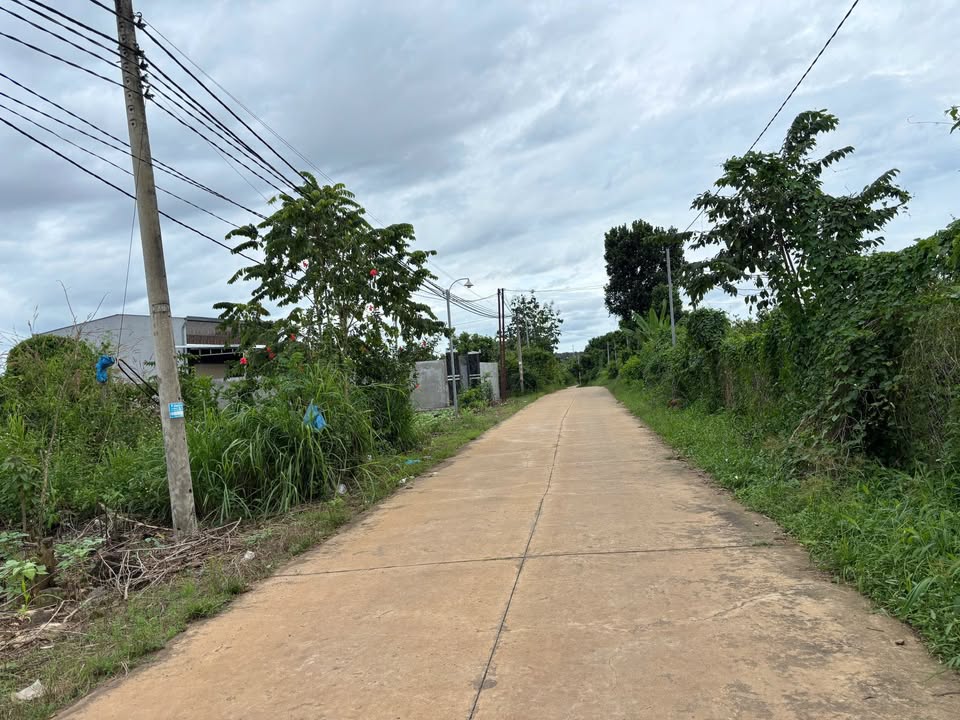 Đất nền Phú Vinh 2200m² giá 1.799 tỷ - Mặt tiền đường lớn, sổ riêng!