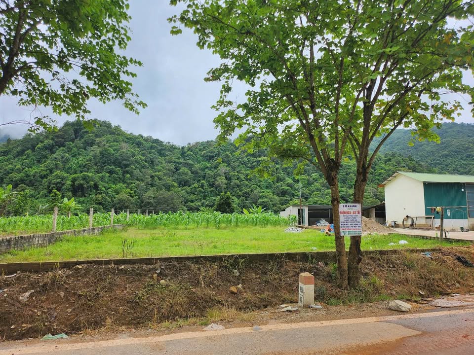 Đất nông nghiệp Nà Nhạn, Điện Biên Phủ 429.7m² - Mặt tiền 16m, hướng Đông Nam