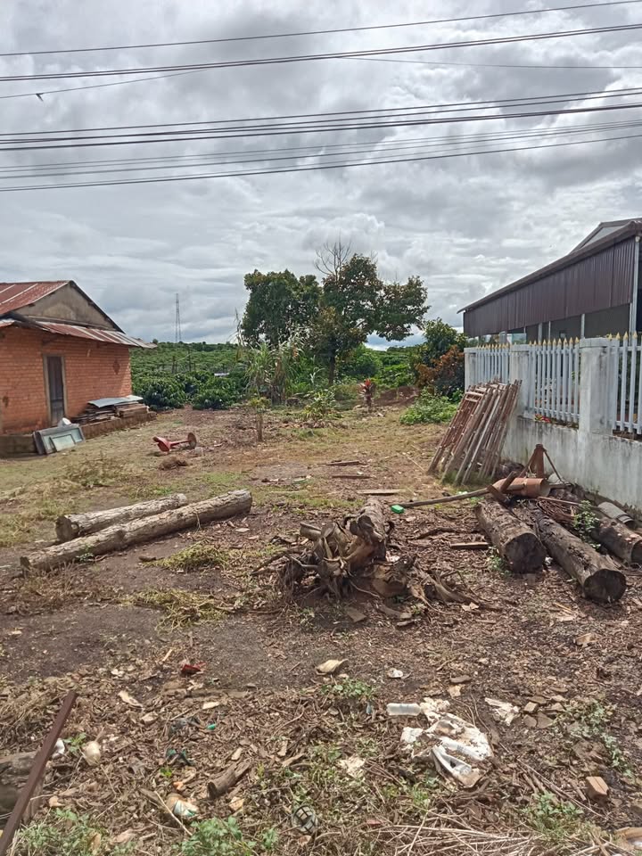 Đất thổ cư Tân Hội, Đức Trọng 200m² giá 990 triệu - Vị trí đắc địa, tiện ích đầy đủ!