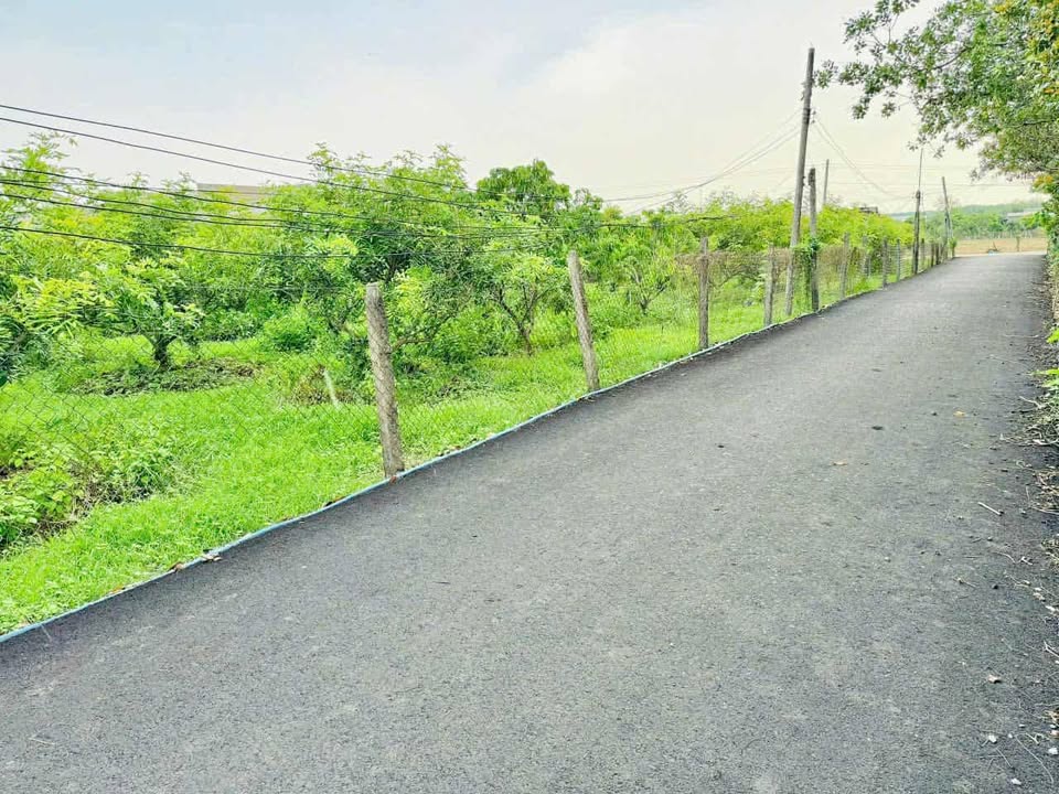 Đất vườn nhãn Hòa Hội 1064m² giá 2 tỷ - Lô góc 2 mặt đường nhựa!