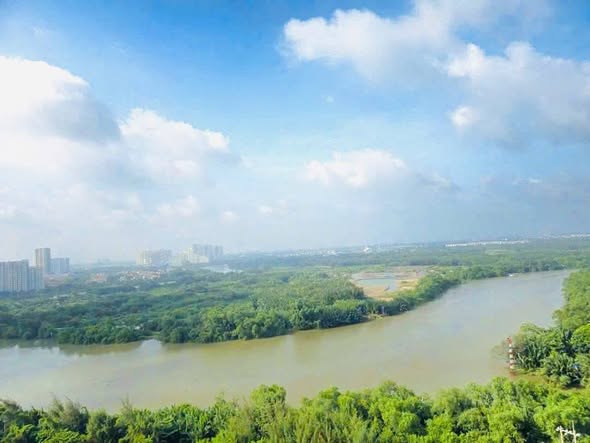 Căn hộ The Horizon quận 7 113m² giá 20.5 tỷ - View sông trực diện tuyệt đẹp!