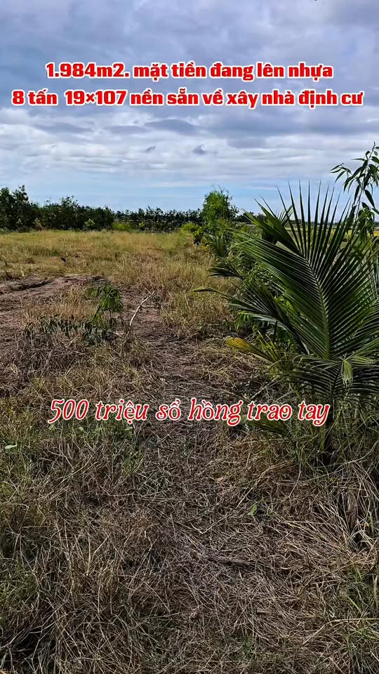 Đất nền Bình Hòa Tây, Mộc Hóa 1984m² giá 500 triệu - Cơ hội đầu tư tuyệt vời!