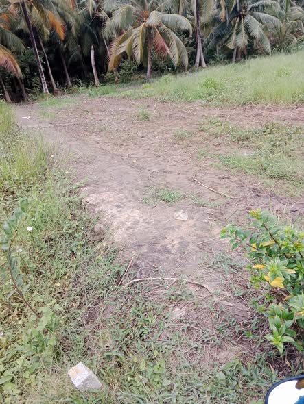 Đất nền Tân Long Hội 120m² chỉ 390 triệu - Sổ hồng chính chủ!